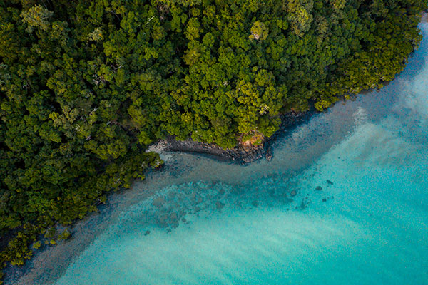 Tropical North Queensland, Cape Tribulation