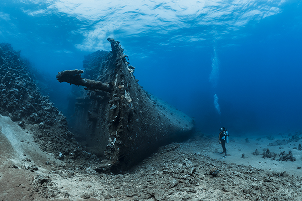 Plongée sous-marine