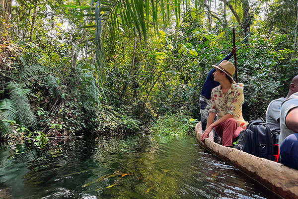 Faune bassin du Congo