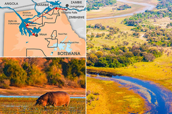 Victoria, Chobe et Delta