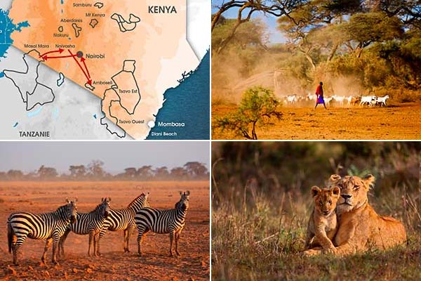 Safari Karibuni