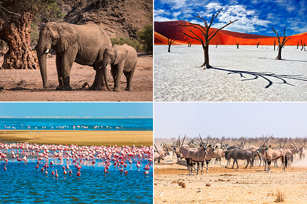 Top 10 des Destinations en Namibie