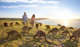 couple à Kangaroo Island